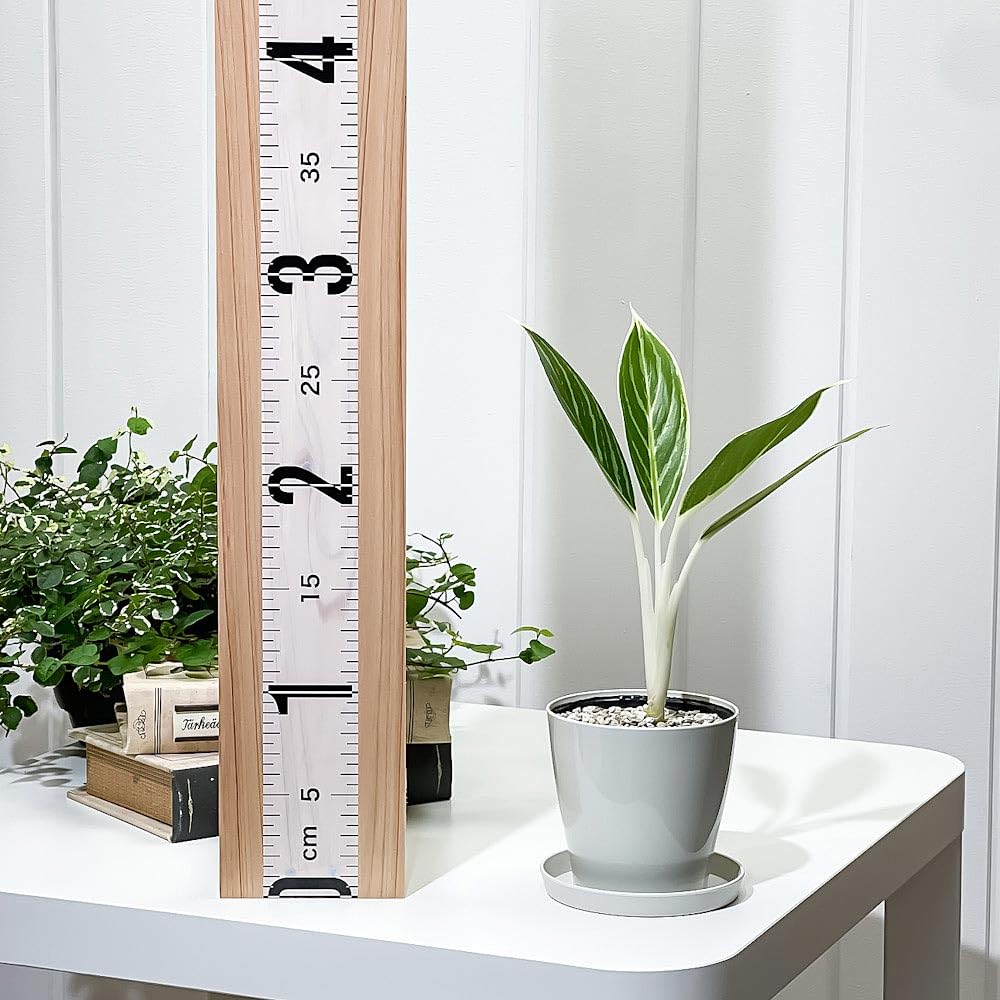 Amazon｜PLANCHU 観葉植物 アグラオネマ スノーホワイト 3.5号鉢